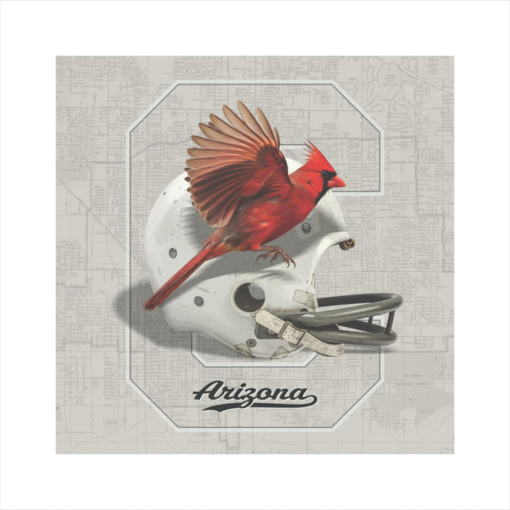 Arizona Cardinals Vintage Football wall art print