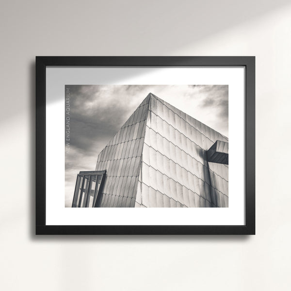 Boston's The New England Aquarium wall art print