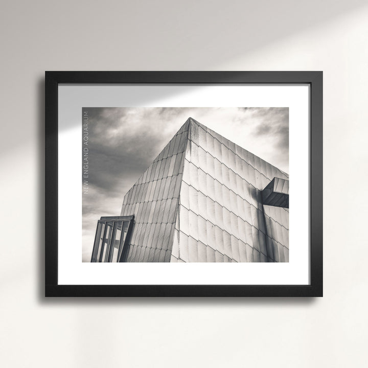 Boston's The New England Aquarium wall art print