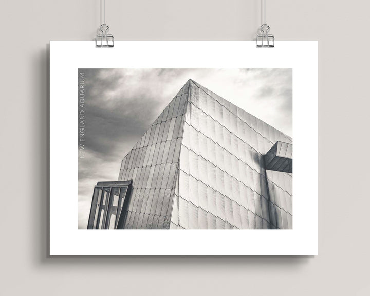 Boston's The New England Aquarium wall art print