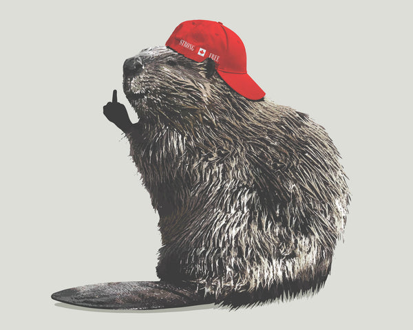 Canadian Beaver-Middle Finger Salute wall art