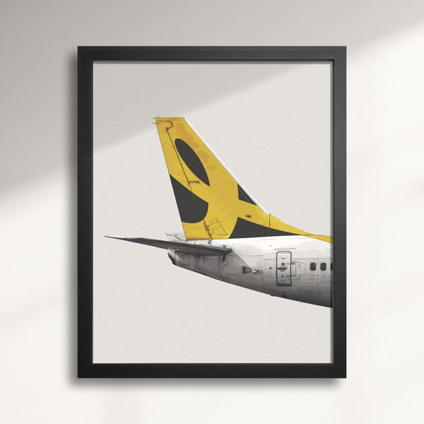 Enerjet Boeing 737 Tail Livery
