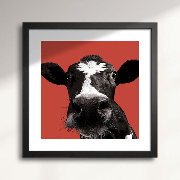 Framed artwork of a cow's face on a red background titled Maple—Canadian Bovine Beauty