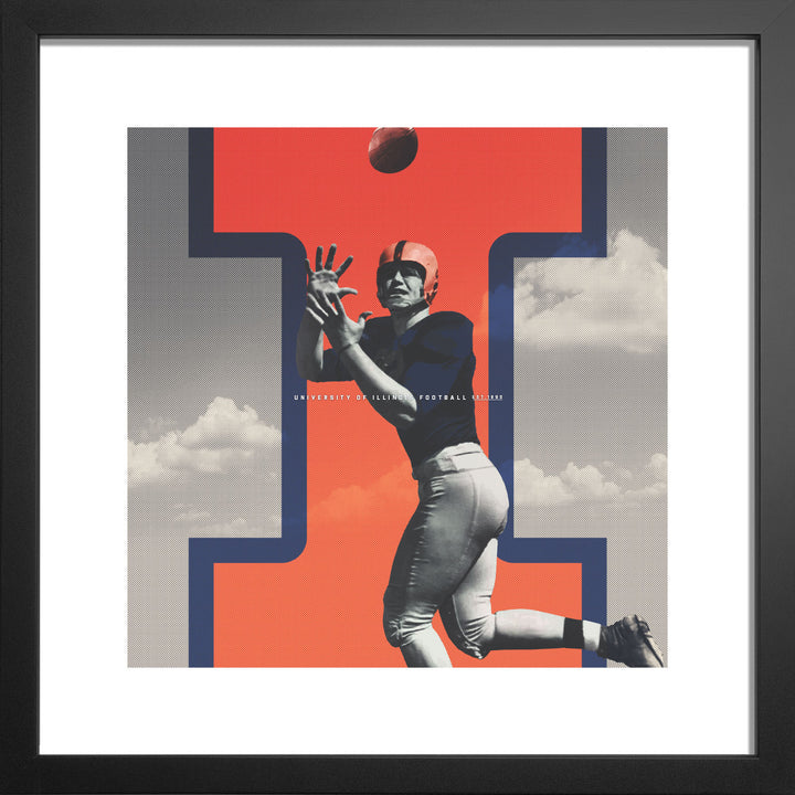 Illinois Fighting Illini wall art