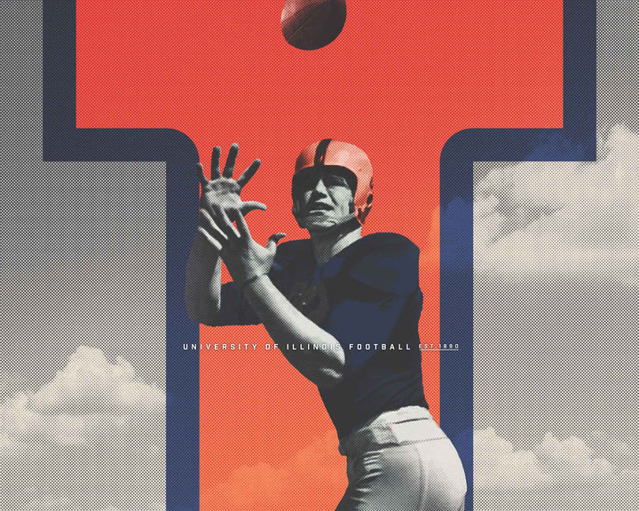 Illinois Fighting Illini wall art