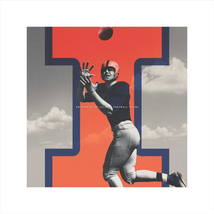 Illinois Fighting Illini wall art