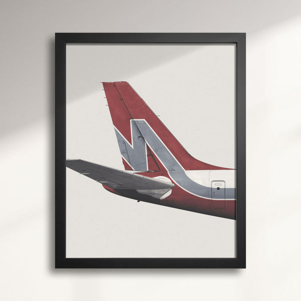 Nationair DC-8 Tail Livery wall art print