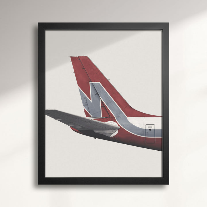Nationair DC-8 Tail Livery wall art print