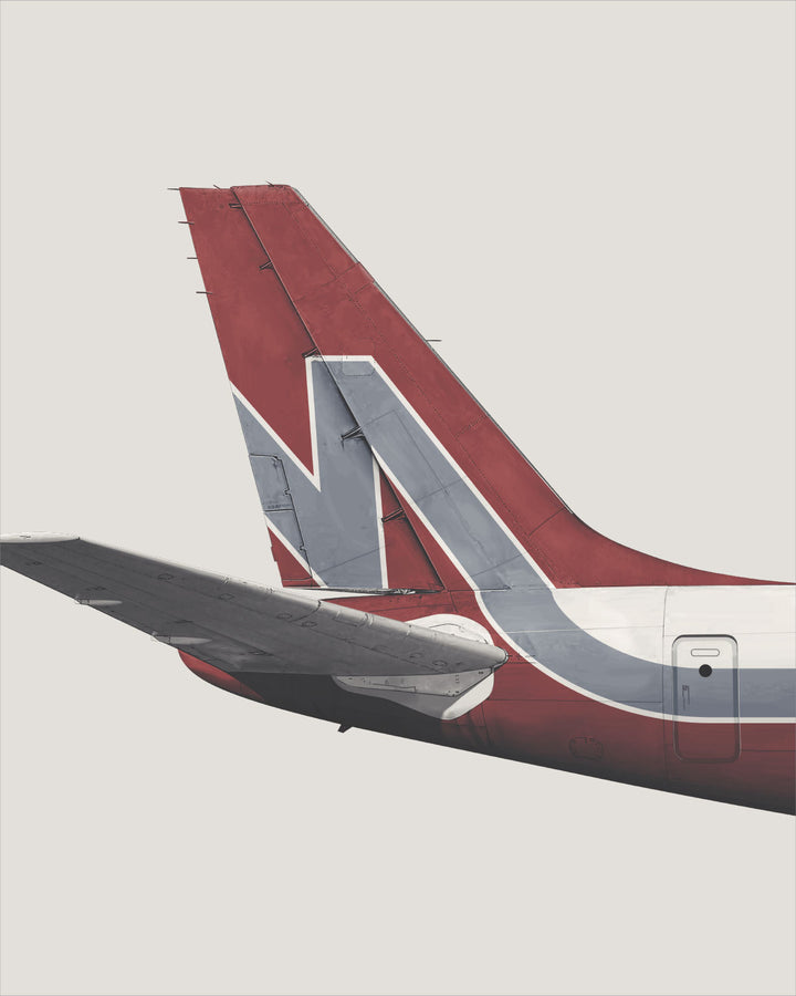 Nationair DC-8 Tail Livery wall art print