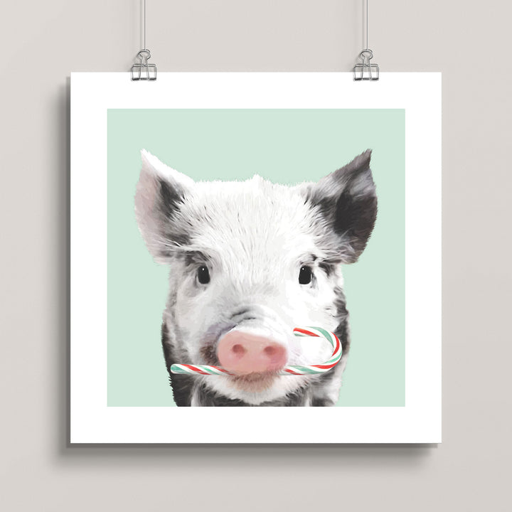 Peppermint Piglet