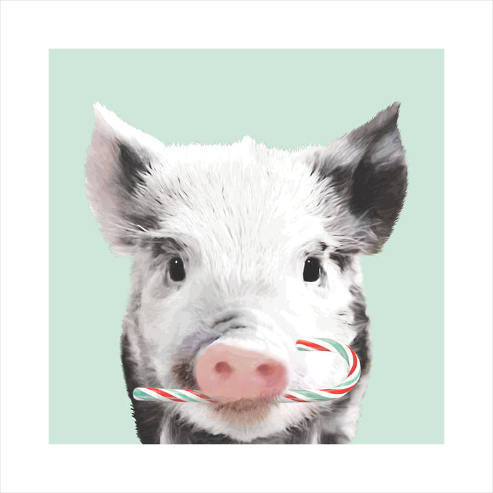 Peppermint Piglet