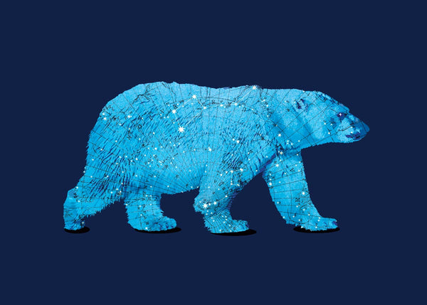 Greeting Card: Polaris Bear