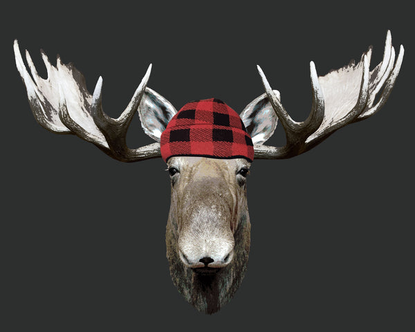 'RedBlack-Jack' Moose wall art