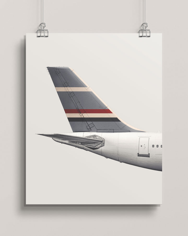Roots Air Airbus A310 Tail Livery