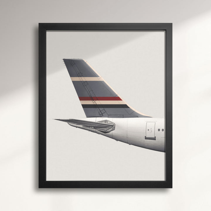 Roots Air Airbus A310 Tail Livery