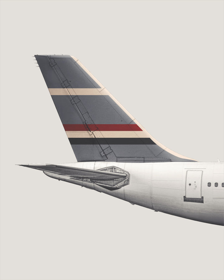 Roots Air Airbus A310 Tail Livery