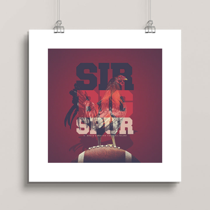 South Carolina Gamecocks: Sir Big Spur wall art print