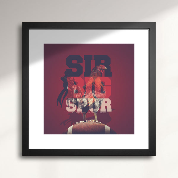 South Carolina Gamecocks: Sir Big Spur wall art print