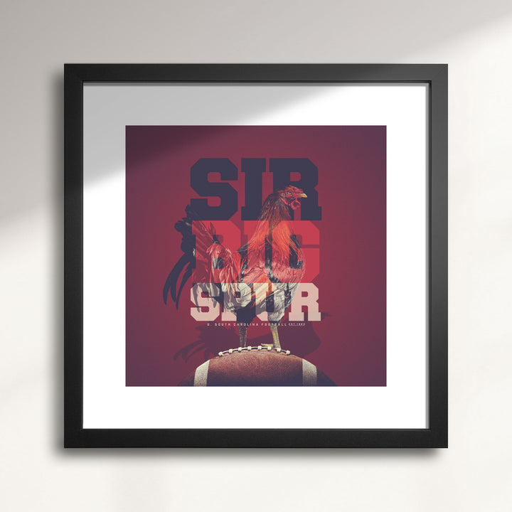 South Carolina Gamecocks: Sir Big Spur wall art print