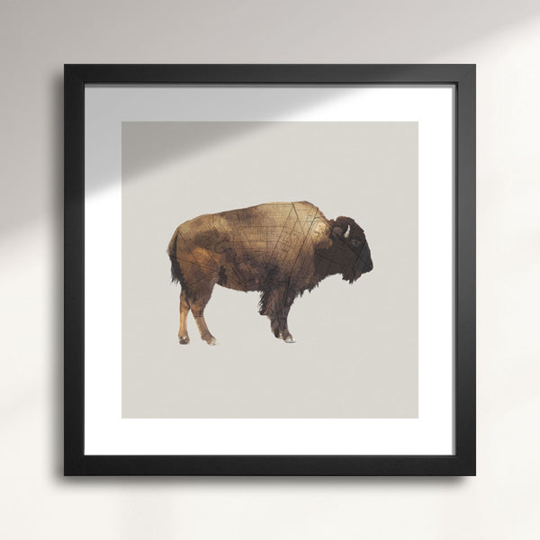 100th Meridian Buffalo