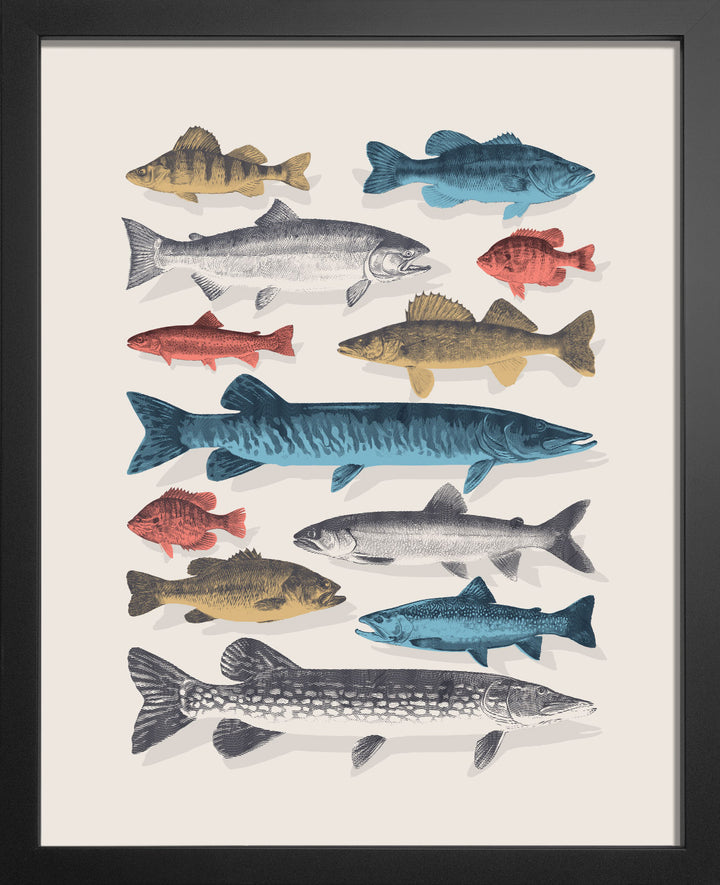 The Canadian Freshwater Angler’s Collection wall art