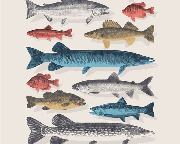 The Canadian Freshwater Angler’s Collection wall art