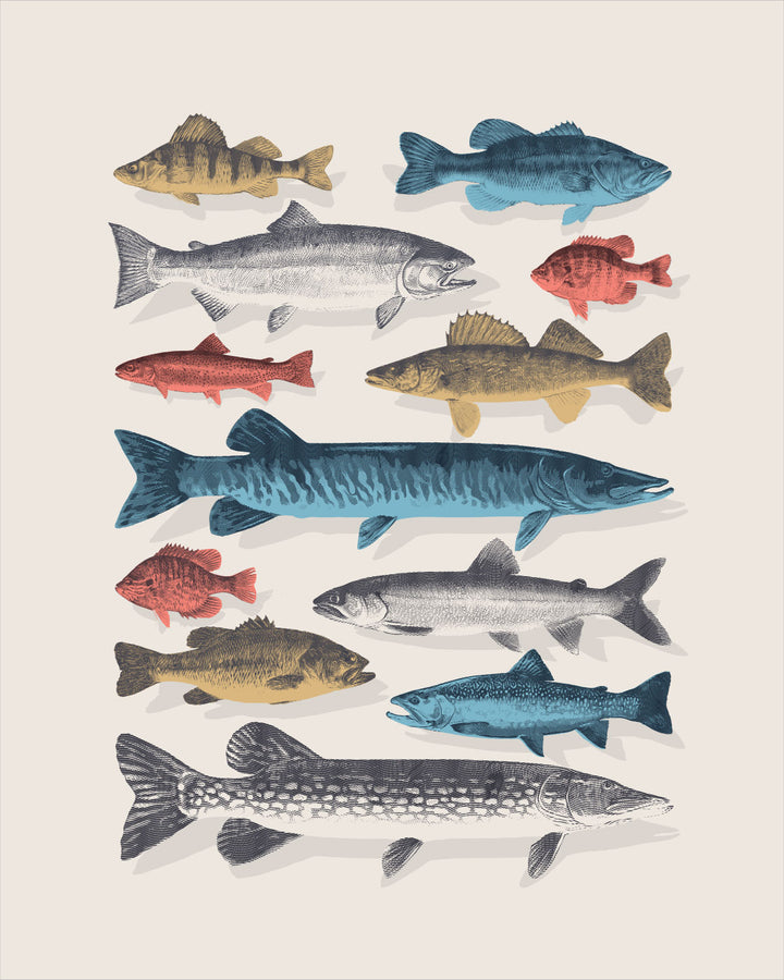 The Canadian Freshwater Angler’s Collection wall art