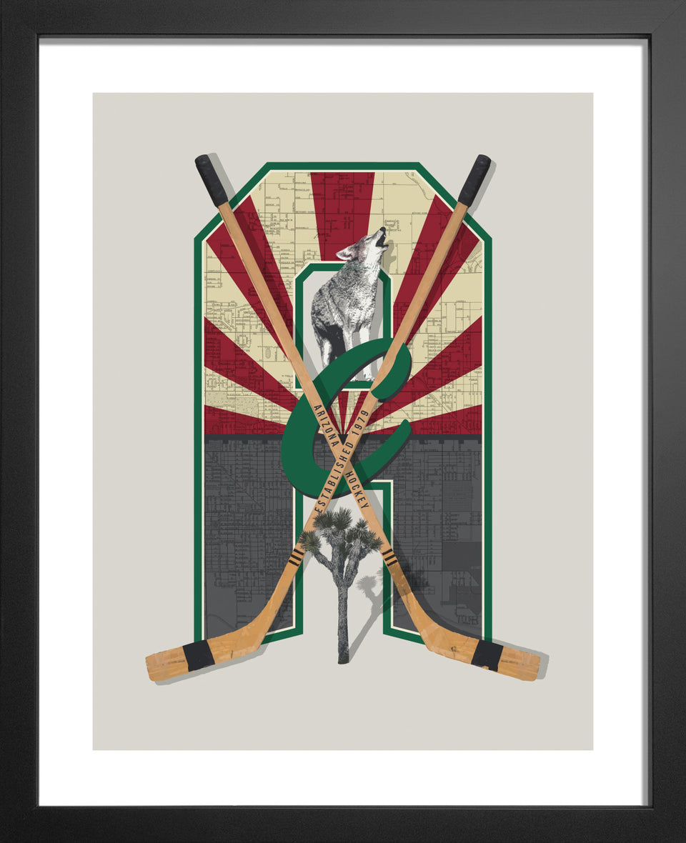 Arizona Vintage Hockey