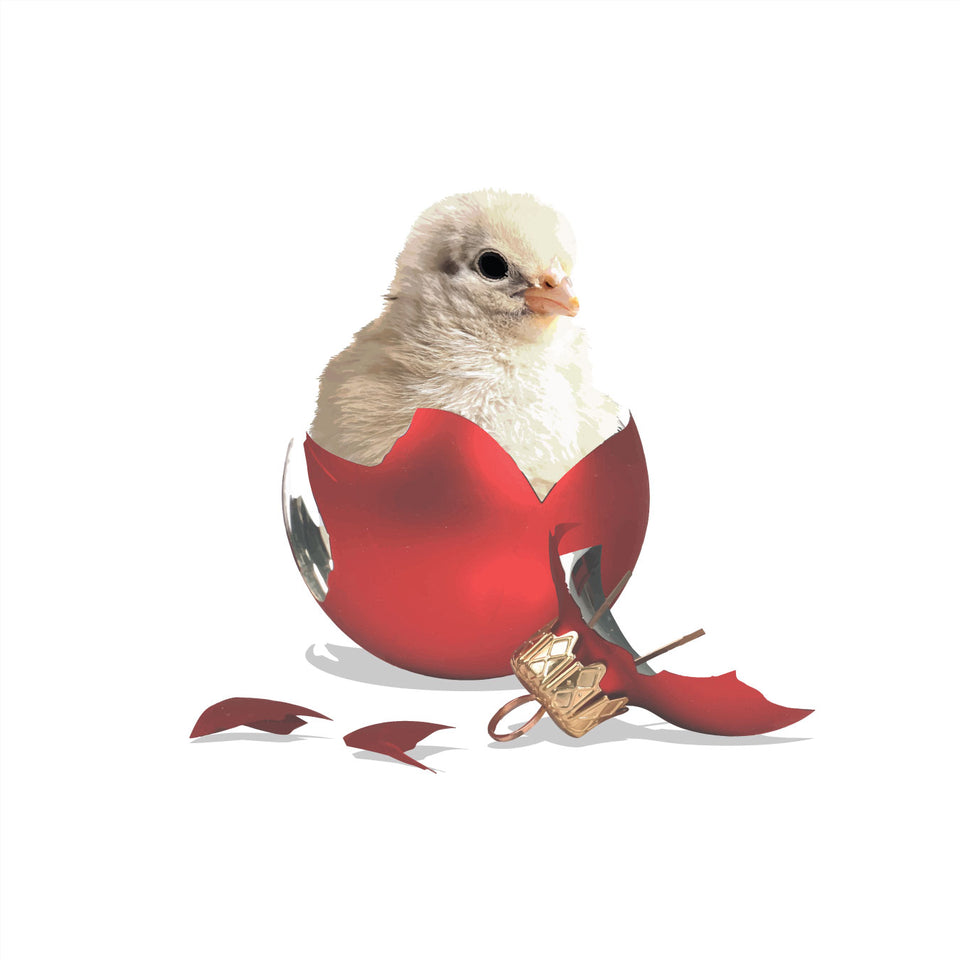 Christmas Chick