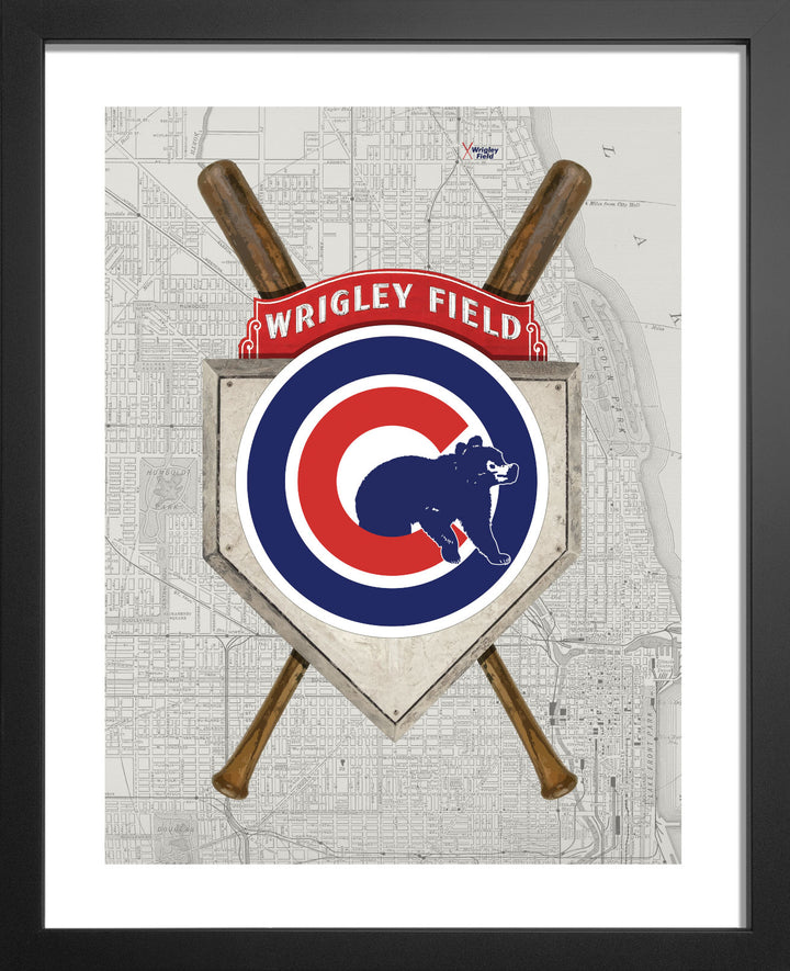 Chicago Cubs-Inspired Baseball