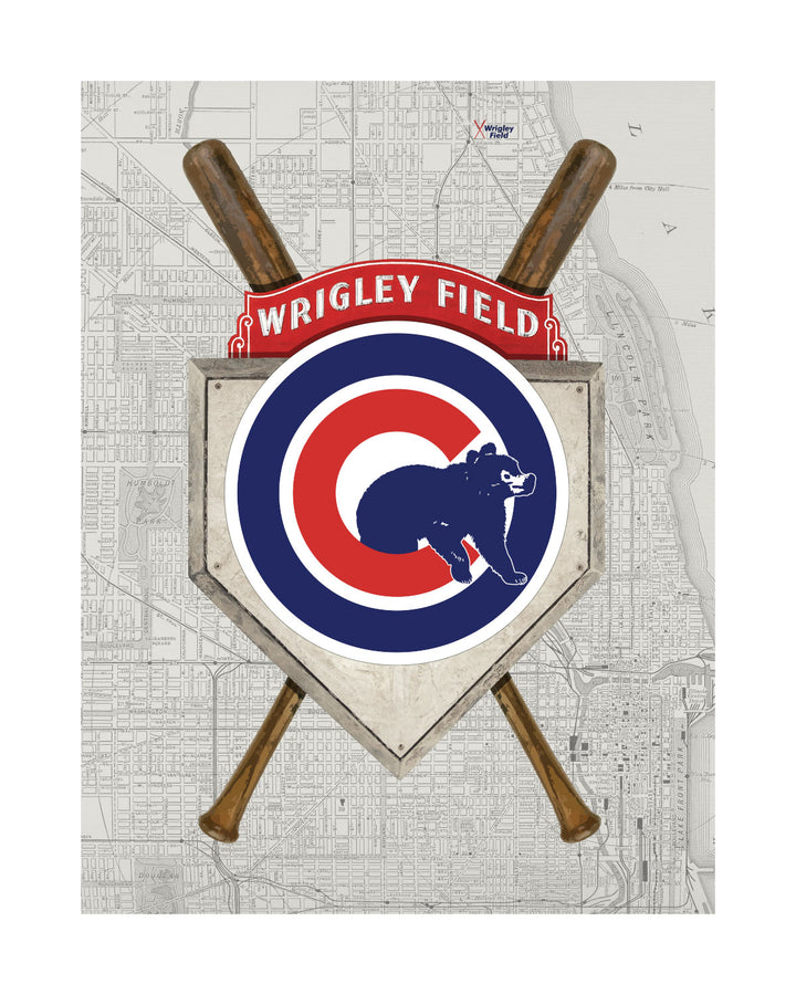 Chicago Cubs-Inspired Baseball