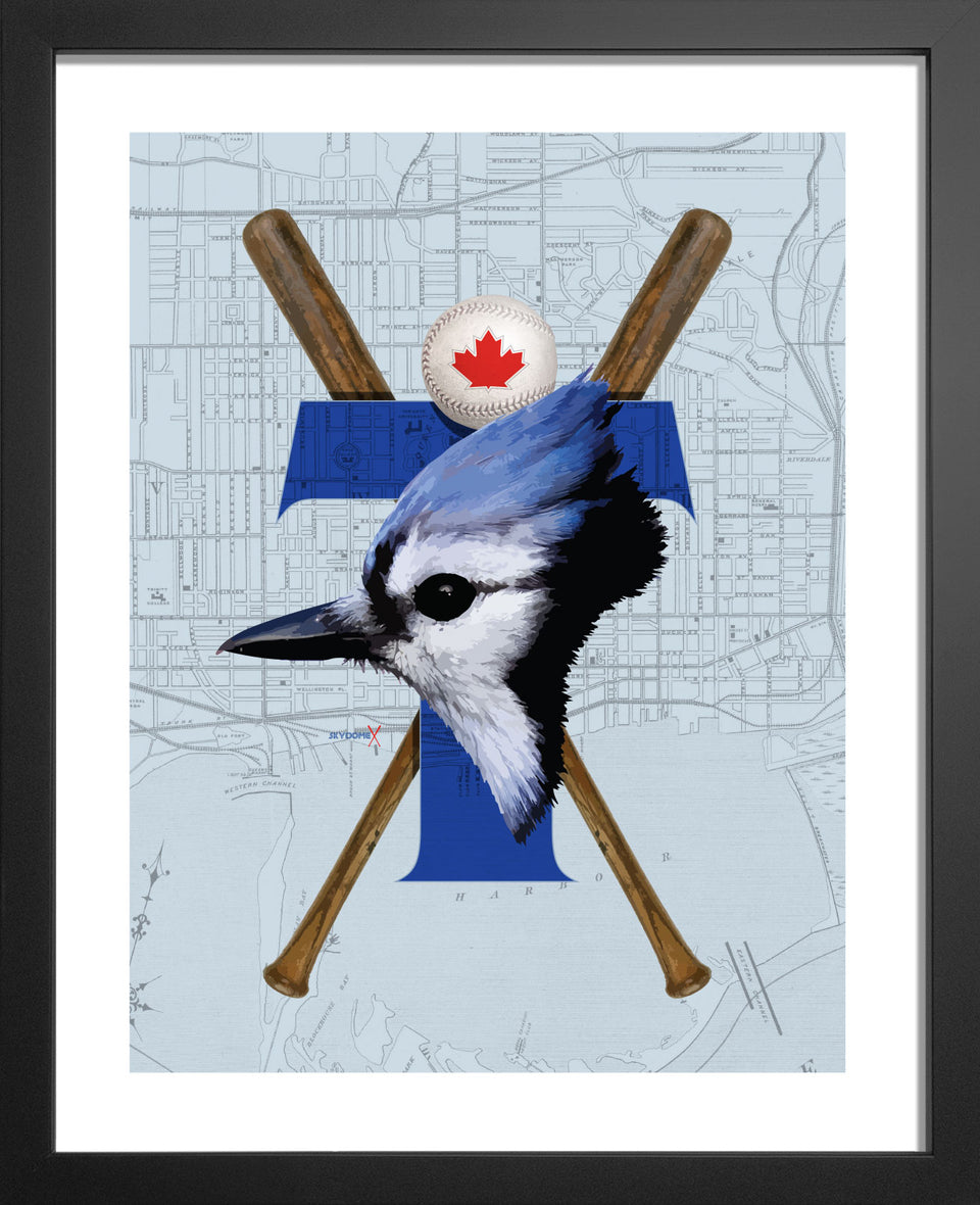 Toronto Blue Jays-Inspired Baseball