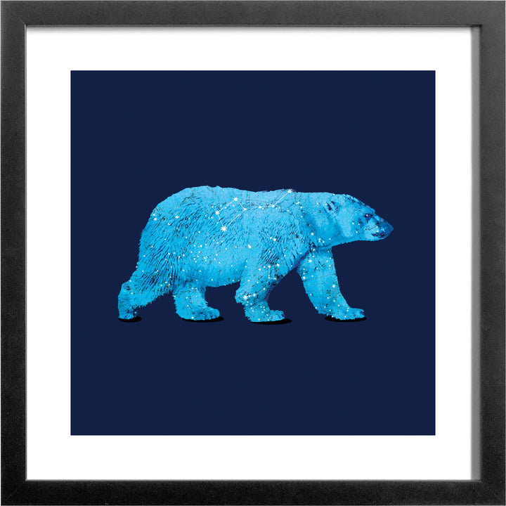 'Polaris' Bear