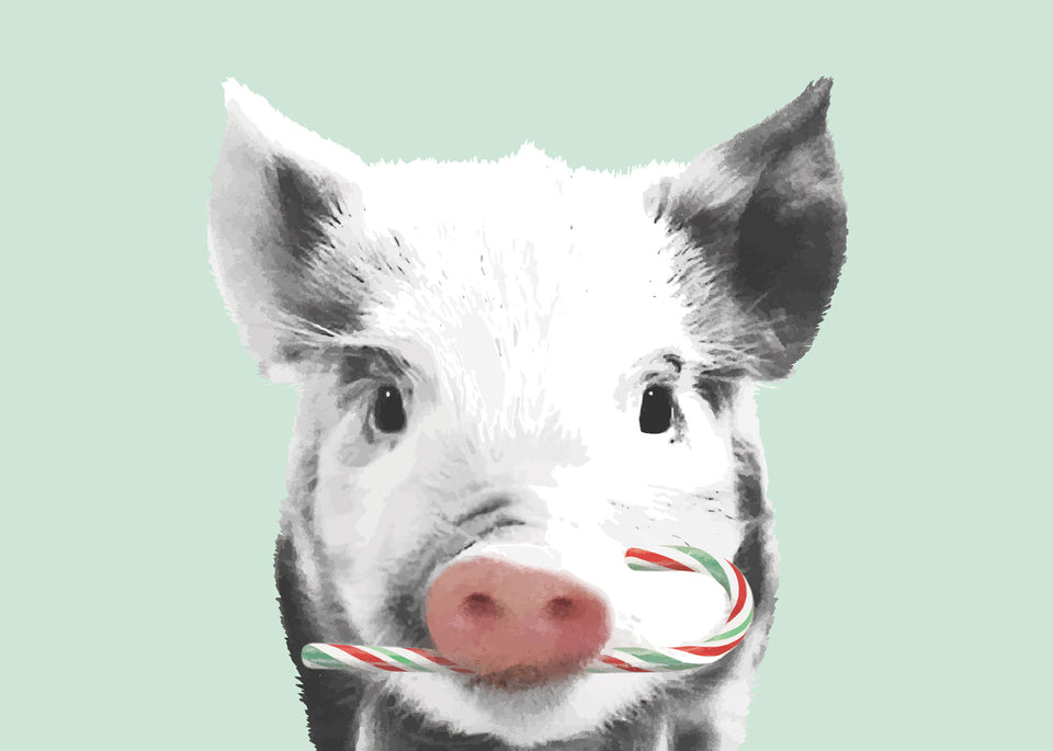 Greeting Card: Peppermint Piglet