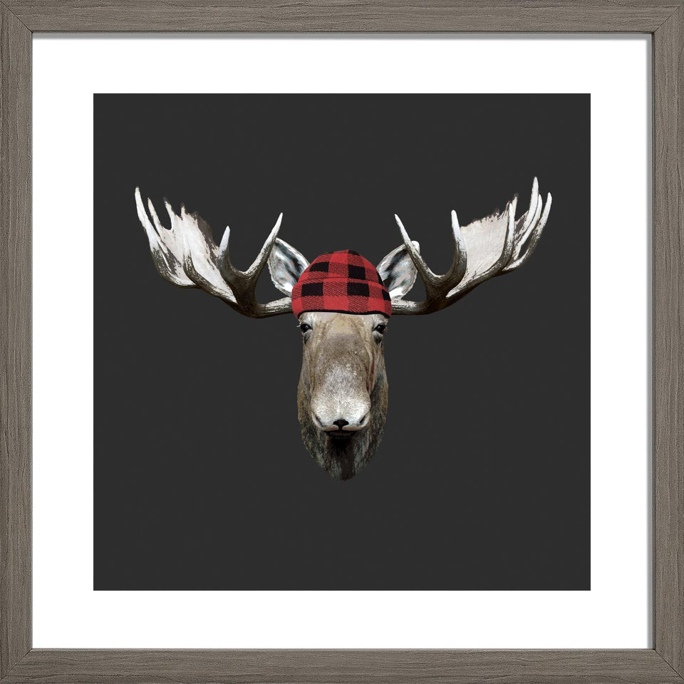 'RedBlack-Jack' Moose