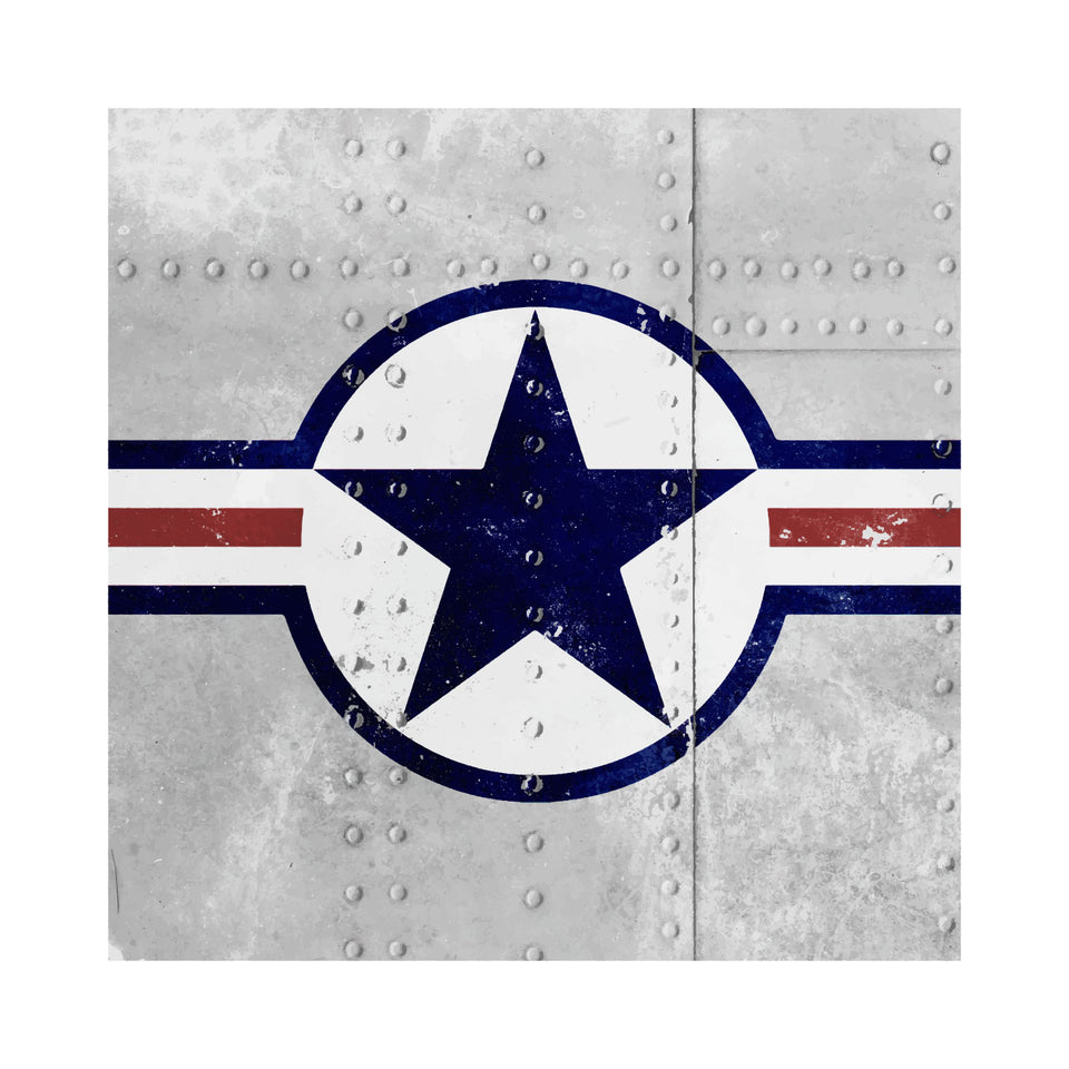 USAAF Riveted Roundel