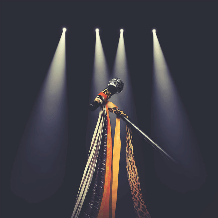 Steven Tyler: Gypsy Microphone