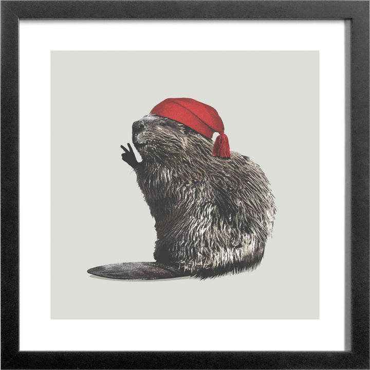 Voyageur Beaver