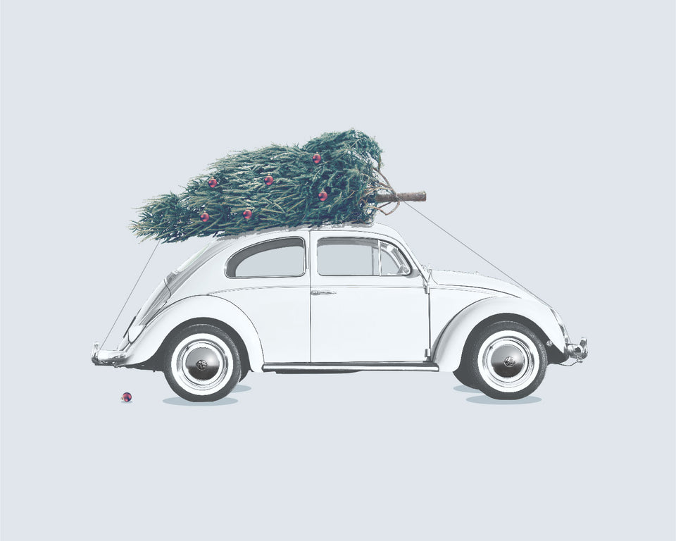 1960s Christmas Beetle