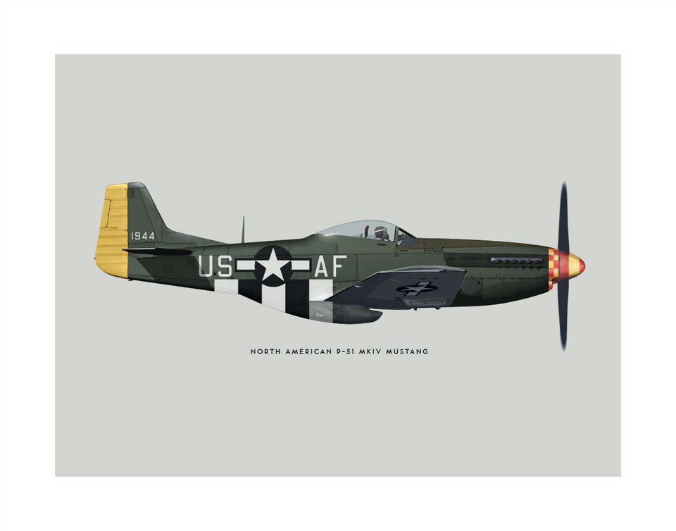 P-51 Mustang Fighter (USAAF)